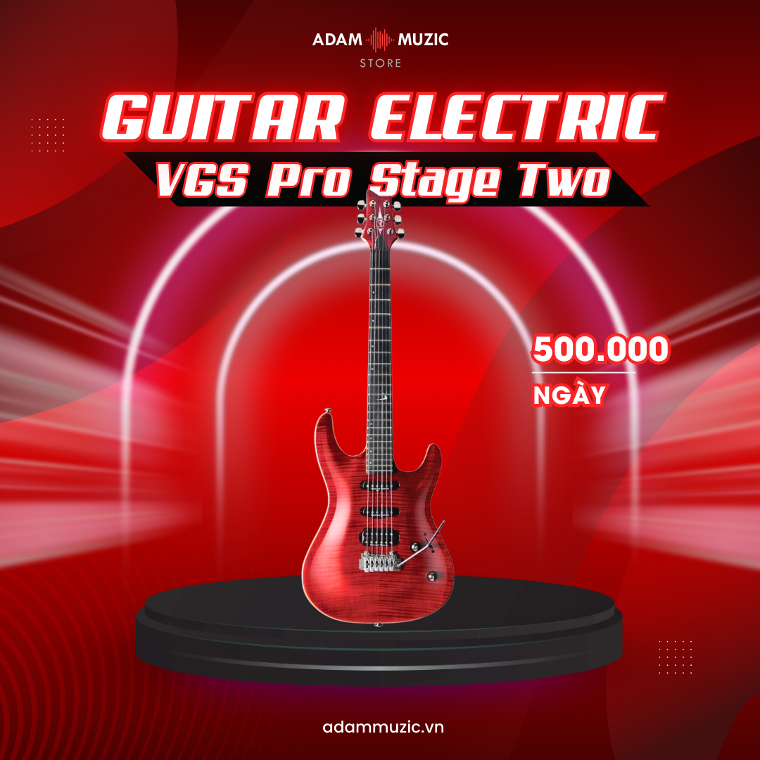 adam-muzic-cho-thue-thiet-bi-am-thanh-GUITAR-ELECTRIC-VGS-PRO-STAGE-TWO-nhac-cu-tai-thanh-pho-ho-chi-minh