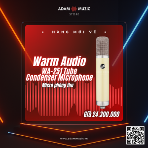 adam-muzic-cho-thue-thiet-bi-am-thanh-Warm-Audio-WA-251-Tube-Condenser-Microphone-nhac-cu-tai-thanh-pho-ho-chi-minh